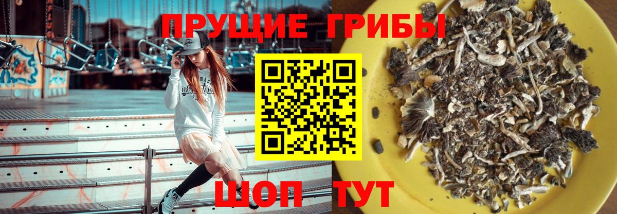 Уссурийск  Галлюциногенные грибы мицелий  Вход с VPN 